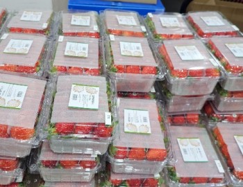 KakaoTalk_20260602_200652858_01 (1).jpg