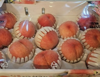 복숭아.jpg
