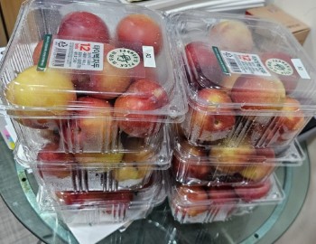 자두1.jpg