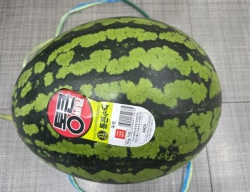 수박 후원 .jpg